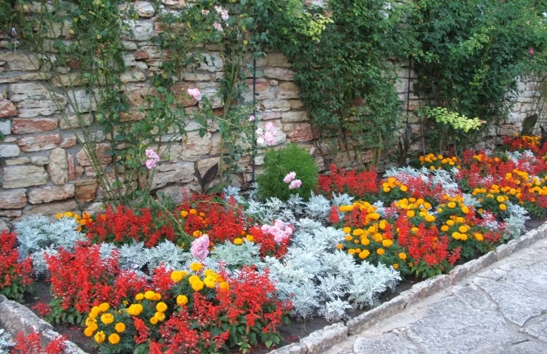 Gardening and flower bed (2)
